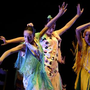 Fotografía de La Gitanilla - Conservatorio de Danza