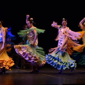 Fotografía de La Gitanilla - Conservatorio de Danza
