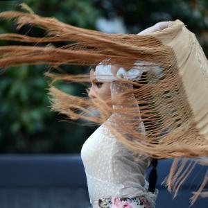 Fotografía de La noche en blanco - Conservatorio de Danza