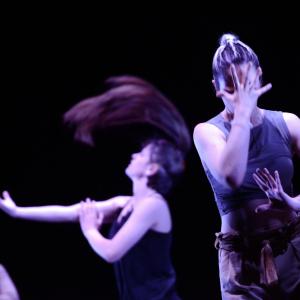 Fotografía de Talleres Danza Contemporánea (Pase previo) - Conservatorio de Danza