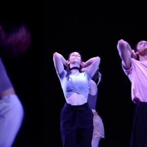 Fotografía de Talleres Danza Contemporánea (Pase previo) - Conservatorio de Danza