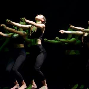 Fotografía de Talleres Danza Contemporánea - Conservatorio de Danza