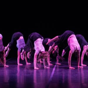 Fotografía de Talleres Danza Contemporánea (galería 2) - Conservatorio de Danza
