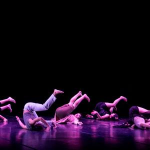 Fotografía de Talleres Danza Contemporánea (galería 2) - Conservatorio de Danza