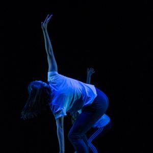 Fotografía de Talleres Danza Contemporánea (galería 2) - Conservatorio de Danza