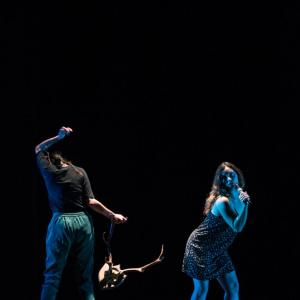 Fotografía de Talleres Danza Contemporánea (galería 2) - Conservatorio de Danza