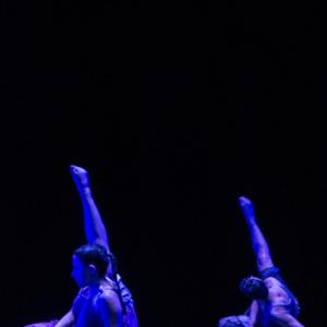 Fotografía de Talleres Danza Contemporánea (galería 2) - Conservatorio de Danza