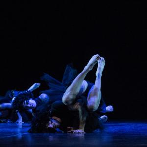 Fotografía de Talleres Danza Contemporánea (galería 2) - Conservatorio de Danza
