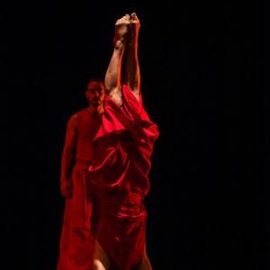 Fotografía de Talleres Danza Contemporánea (galería 2) - Conservatorio de Danza