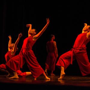 Fotografía de Talleres Danza Contemporánea (galería 2) - Conservatorio de Danza