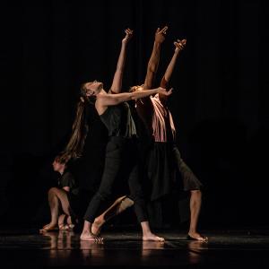 Fotografía de Talleres Danza Contemporánea (galería 2) - Conservatorio de Danza