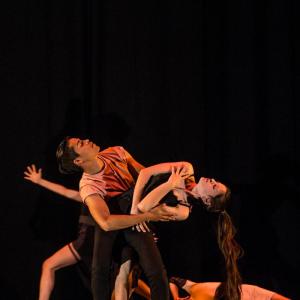 Fotografía de Talleres Danza Contemporánea (galería 2) - Conservatorio de Danza