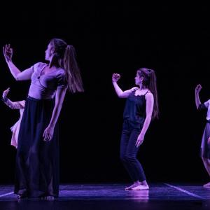 Fotografía de Talleres Danza Contemporánea (galería 2) - Conservatorio de Danza