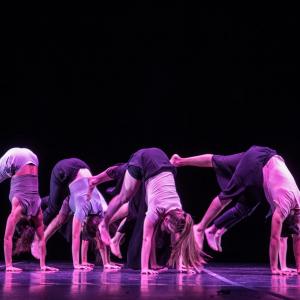 Fotografía de Talleres Danza Contemporánea (galería 2) - Conservatorio de Danza