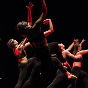 Fotografía de Talleres Danza Contemporánea (galería 2) - Conservatorio de Danza