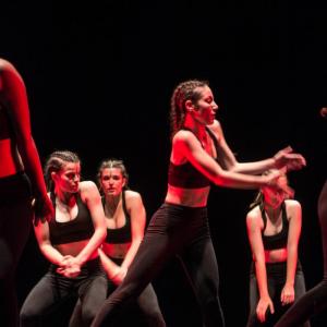 Fotografía de Talleres Danza Contemporánea (galería 2) - Conservatorio de Danza