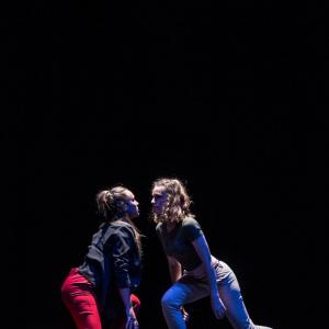 Fotografía de Talleres Danza Contemporánea (galería 2) - Conservatorio de Danza