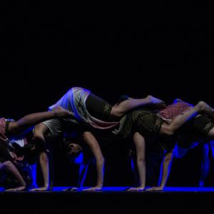 Fotografía de Talleres Danza Contemporánea (galería 2) - Conservatorio de Danza