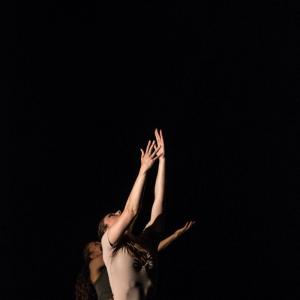 Fotografía de Talleres Danza Contemporánea (galería 2) - Conservatorio de Danza