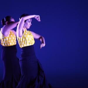 Fotografía de Gala X aniversario, Escuela de Baile Nuria y Estefanía - 