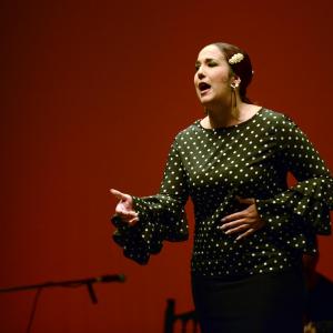 Fotografía de Gala X aniversario, Escuela de Baile Nuria y Estefanía - 