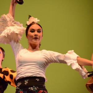 Fotografía de Gala Antiguas Alumnas de la Escuela de José Bolero - 