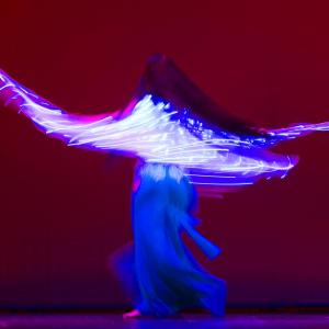 Fotografía de Gala Antiguas Alumnas de la Escuela de José Bolero - 