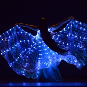Fotografía de Gala Antiguas Alumnas de la Escuela de José Bolero - 