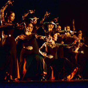 Fotografía de Gala Antiguas Alumnas de la Escuela de José Bolero - 