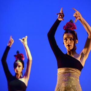 Fotografía de Gala Antiguas Alumnas de la Escuela de José Bolero - 