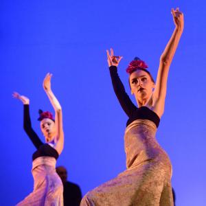 Fotografía de Gala Antiguas Alumnas de la Escuela de José Bolero - 