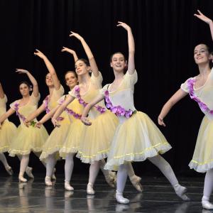 Fotografía de Repertorio clásico - Conservatorio de Danza