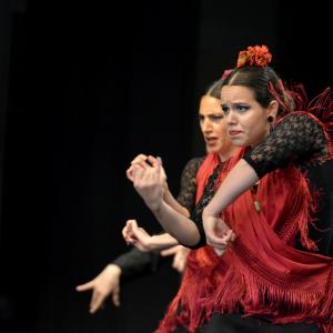 Fotografía de Repertorio III - Conservatorio de Danza