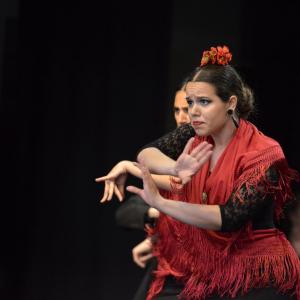 Fotografía de Repertorio III - Conservatorio de Danza