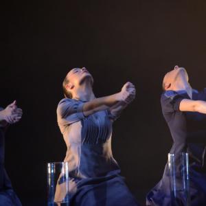 Fotografía de Criatura (Estreno) - Conservatorio de Danza