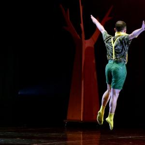 Fotografía de El viaje de Alicia - Cía Danza Fernando Hurtado