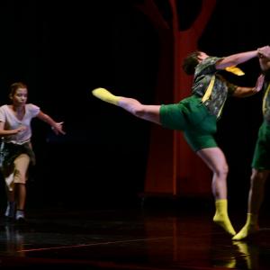 Fotografía de El viaje de Alicia - Cía Danza Fernando Hurtado