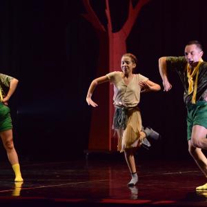 Fotografía de El viaje de Alicia - Cía Danza Fernando Hurtado