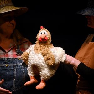 Fotografía de Mara la gallina de los huevos sonoros - La Sal Teatro