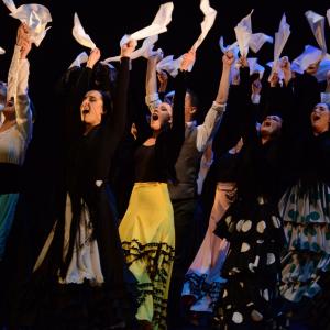 Fotografía de Andanzas - Conservatorio de Danza