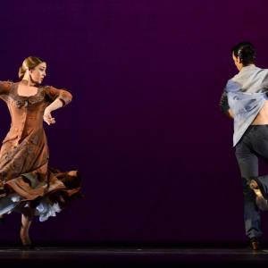 Fotografía de Andanzas - Conservatorio de Danza