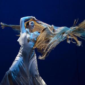 Fotografía de Andanzas - Conservatorio de Danza
