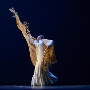 Fotografía de Andanzas - Conservatorio de Danza
