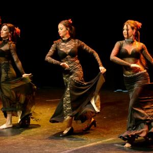 Fotografía de Danzas del Mundo V - Manuela Caballero