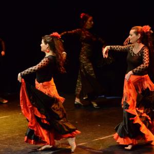 Fotografía de Danzas del Mundo V - Manuela Caballero