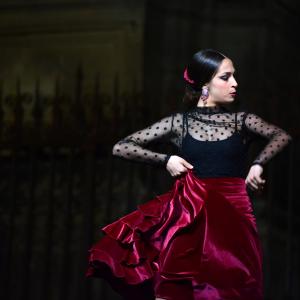 Fotografía de La noche en blanco:Conservatorio de Danza - Conservatorio de Danza