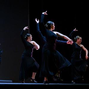 Fotografía de Marinero en Tierra (Talleres de danza española y flamenco) - Conservatorio de Danza