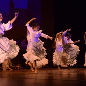 Fotografía de Marinero en Tierra (Talleres de danza española y flamenco) - Conservatorio de Danza