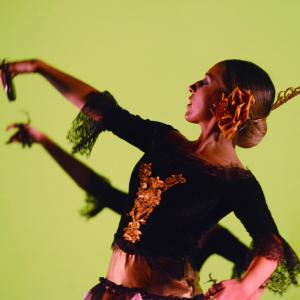 Fotografía de Festival de Danza y Flamenco Conchi Cabrera - Conchi Cabrera