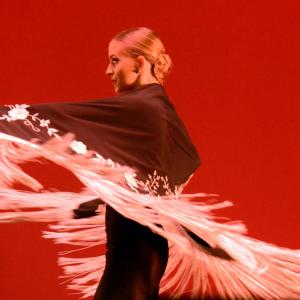 Fotografía de Festival de Danza y Flamenco Conchi Cabrera - Conchi Cabrera